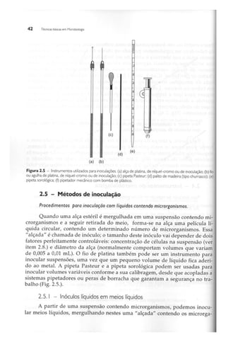Biotecnologia industrial   vol 1
