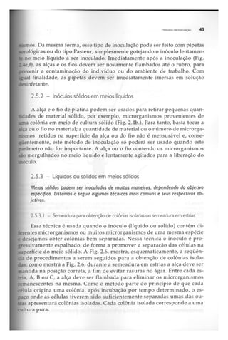 Biotecnologia industrial   vol 1