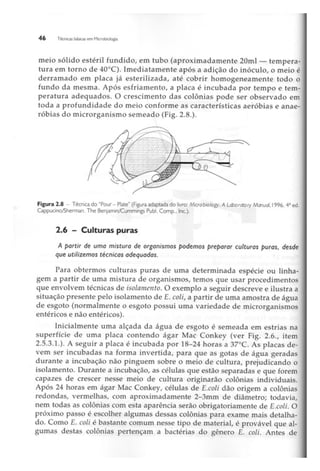 Biotecnologia industrial   vol 1