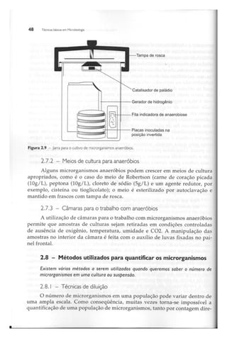 Biotecnologia industrial   vol 1