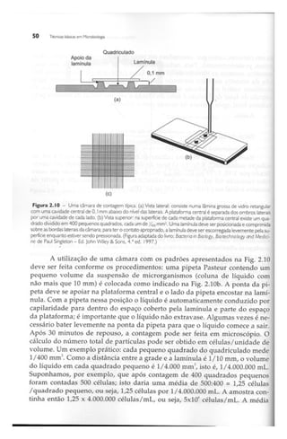 Biotecnologia industrial   vol 1