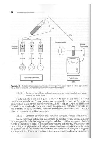 Biotecnologia industrial   vol 1