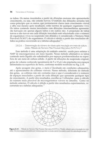 Biotecnologia industrial   vol 1