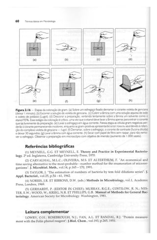 Biotecnologia industrial   vol 1