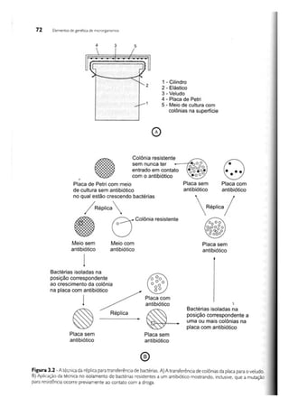 Biotecnologia industrial   vol 1