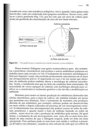 Biotecnologia industrial   vol 1
