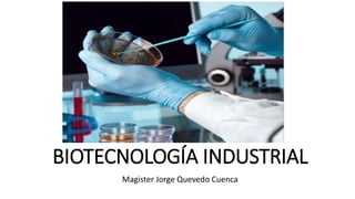 BIOTECNOLOGÍA INDUSTRIAL
Magister Jorge Quevedo Cuenca
 
