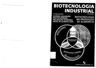 Biotecnologia industrial vol. IV   borzani, schmidell, lima, aquarone