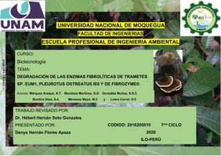 UNIVERSIDAD NACIONAL DE MOQUEGUA
FACULTAD DE INGENIERIAS
ESCUELA PROFESIONAL DE INGENIERIA AMBIENTAL
CURSO:
Biotecnología
TEMA:
DEGRADACIÓN DE LAS ENZIMAS FIBROLÍTICAS DE TRAMETES
SP. EUM1, PLEUROTUS OSTREATUS IE8 Y DE FIBROZYME®
TRABAJO REVISADO POR:
Dr. Hébert Hernán Soto Gonzales
PRESENTADO POR:
Denys Hernán Flores Apaza
CODIGO: 2016205010
7mo CICLO
CODIGO: 2016205010 7mo CICLO
2020
ILO-PERÚ
Autores: Márquez Araque, A.T. Mendoza Martínez, G.D. González Muñoz, S.S.3,
Buntinx Dios, S.4, Meneses Mayo, M.3 y Loera Corral, O.5
 
