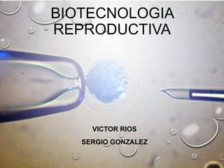 BIOTECNOLOGIA
REPRODUCTIVA

VICTOR RIOS
SERGIO GONZALEZ

 