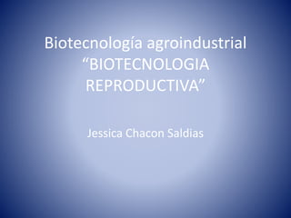 Biotecnología agroindustrial
“BIOTECNOLOGIA
REPRODUCTIVA”
Jessica Chacon Saldias
 