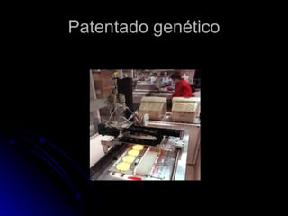 Patentado genético 