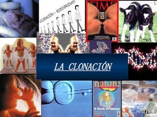 LA CLONACIÓN 