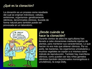 ¿Qué es la clonación? La clonación es un proceso como resultado del cual se originan individuos –células, embriones, organismos- genéticamente idénticos, denominados clónicos. Sucede de forma natural pero también puede ser provocada en un laboratorio. ¿Desde cuándo se hace la clonación? Durante cientos de años los agricultores han llevado a cabo clonaciones mediante injertos de plantas, para mantener sus características. Lo que hacían no era más que obtener clónicos. Por su parte, las bacterias, los organismos unicelulares y muchos vegetales se copian a sí mismos como método de reproducción. También hay mamíferos clónicos, como pueden ser dos niños gemelos idénticos (también denominados monocigóticos o univitelinos), la oveja Dolly. 