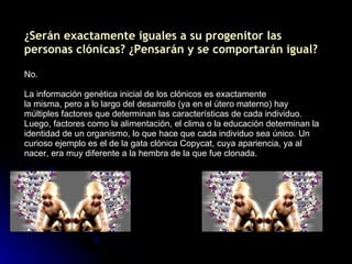 ¿Serán exactamente iguales a su progenitor las personas clónicas? ¿Pensarán y se comportarán igual? No.  La información genética inicial de los clónicos es exactamente la misma, pero a lo largo del desarrollo (ya en el útero materno) hay múltiples factores que determinan las características de cada individuo. Luego, factores como la alimentación, el clima o la educación determinan la identidad de un organismo, lo que hace que cada individuo sea único. Un curioso ejemplo es el de la gata clónica Copycat, cuya apariencia, ya al nacer, era muy diferente a la hembra de la que fue clonada. 