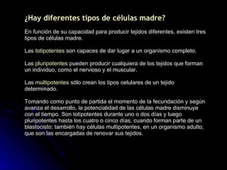 ¿Hay diferentes tipos de células madre? En función de su capacidad para producir tejidos diferentes, existen tres tipos de células madre.  Las  totipotentes  son capaces de dar lugar a un organismo completo.  Las  pluripotentes  pueden producir cualquiera de los tejidos que forman un individuo, como el nervioso y el muscular. Las  multipotentes  sólo crean los tipos celulares de un tejido determinado.  Tomando como punto de partida el momento de la fecundación y según avanza el desarrollo, la potencialidad de las células madre disminuye con el tiempo. Son totipotentes durante uno o dos días y luego pluripotentes hasta los cuatro o cinco días, cuando forman parte de un blastocisto; también hay células multipotentes, en un organismo adulto, que son las encargadas de renovar sus tejidos. 