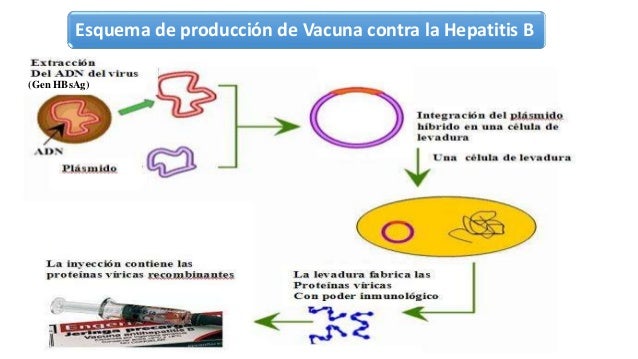 Biotecnologia vacunas recombinantes y farmacogenomica Biotecnologia vacunas recombinantes y farmacogenomica
