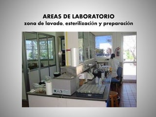 AREAS DE LABORATORIO
zona de lavado, esterilización y preparación