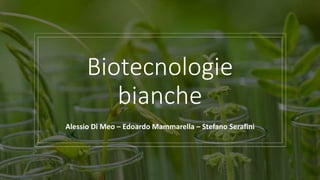 Biotecnologie
bianche
Alessio Di Meo – Edoardo Mammarella – Stefano Serafini
 