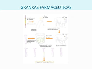 APLICACIÓNS DA PEGADA XÉNICAEstablecer a inocencia ouculpabilidade de criminaissospeitosos.A identificación de vítimas.A determinación de paternidades.Para estudar o ADN de restos prehistóricos humanos.No seguinte enlace, visualiza unha animación  sobre a análise de fragmentos de ADN.http://www.andaluciainvestiga.com/espanol/cienciaAnimada/sites/dna/dna.swf