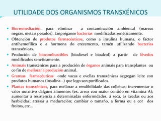 ENXEÑARÍA XENÉTICAConxunto de técnicas e procedementos que permiten a manipulaciónxenética dos organismos.Estas  técnicas permiten transferir xenesduns  organismos a outros e poden estar encamiñadas á :