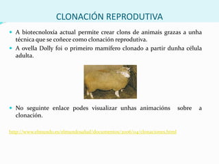 ORGANISMOS XENÉTICAMENTE MODIFICADOS (OXM) OU TRANSXÉNICOSSon organismos ( bacterias, fungos, animais e plantas) que  conteñen un xenedoutro organismo outransxene.