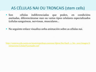OBTENCIÓN DUNHA PLANTA TRANSXÉNICA