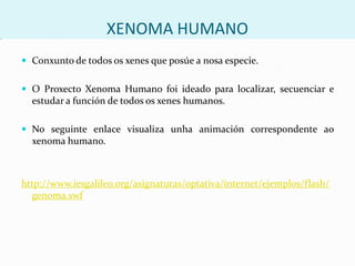 UTILIDADE DOS ORGANISMOS TRANSXÉNICOSBiorremediación, para eliminar  a contaminación ambiental (mareas negras, metais pesados). Emprégansebacterias  modificadas xenéticamente.Obtención de produtos farmacéuticos, como a insulina humana, o factor antihemofílico e a hormona do crecemento, tamén utilizando bacteriastransxénicas.Produción de biocombustibles (biodiesel e bioalcol) a partir  de lévedos modificados xenéticamente.Animaistransxénicos para a produción de órganosanimais para transplantesouco fin de mellorar a produciónanimal.Granxas  farmacéuticas  onde vacas e ovellastransxénicas segregan leite con produtos humanos (insulina…) que logo son purificados.Plantas transxénicas, para mellorar a rendibilidade das colleitas; incrementar o valor nutritivo dalgúns alimentos (ex. arroz con maiorcontido en vitamina A); aumentar a resistencia a determinadas enfermidades, á seca, ásxeadasouaos herbicidas; atrasar a maduración; cambiar o tamaño, a forma ou a cor  dos froitos, etc…