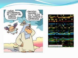 ENLACES A ANIMACIÓNS SOBRE TRANSXÉNICOSPodes visualizar as seguintesanimacións que fan referencia a como se fabrica un transxénico, cales son os beneficios e cales os riscos dos transxénicos.