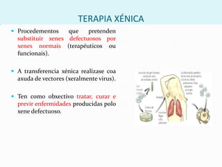 Permite obterprodutos de interese para a sociedade: insulina, hormona do crecemento, factor VIII de coagulación…
