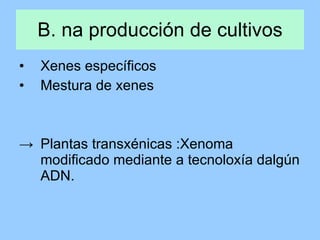B. na producción de cultivos Xenes específicos Mestura de xenes Plantas transxénicas :Xenoma modificado mediante a tecnoloxía dalgún ADN. 