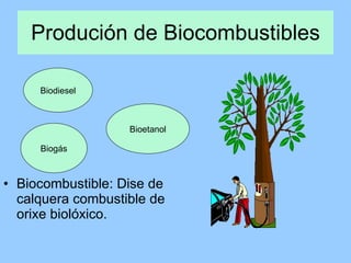 Produción de Biocombustibles Biocombustible: Dise de calquera combustible de orixe biolóxico. Biodiesel Bioetanol Biogás 