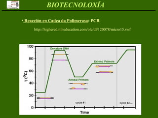BIOTECNOLOXÍA
• Reacción en Cadea da Polimerasa: PCR
http://highered.mheducation.com/olc/dl/120078/micro15.swf
 