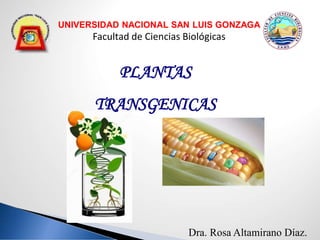 PLANTAS
TRANSGENICAS
UNIVERSIDAD NACIONAL SAN LUIS GONZAGA
Facultad de Ciencias Biológicas
Dra. Rosa Altamirano Díaz.
 