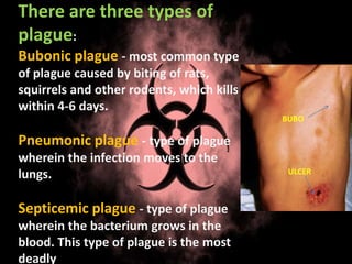 There are three types of
plague:
Bubonic plague - most common type
of plague caused by biting of rats,
squirrels and other rodents, which kills
within 4-6 days.
Pneumonic plague - type of plague
wherein the infection moves to the
lungs.
Septicemic plague - type of plague
wherein the bacterium grows in the
blood. This type of plague is the most
deadly
BUBO
ULCER
 
