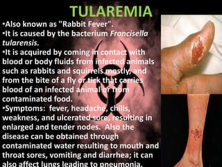 TULAREMIA
•Also known as "Rabbit Fever".
•It is caused by the bacterium Francisella
tularensis.
•It is acquired by coming in contact with
blood or body fluids from infected animals
such as rabbits and squirrels mostly, and
from the bite of a fly or tick that carries
blood of an infected animal or from
contaminated food.
•Symptoms: fever, headache, chills,
weakness, and ulcerated sore, resulting in
enlarged and tender nodes. Also the
disease can be obtained through
contaminated water resulting to mouth and
throat sores, vomiting and diarrhea; it can
 