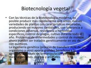 Biotecnología vegetal
• Con las técnicas de la biotecnología moderna, es
  posible producir más rápidamente que antes, nuevas
  variedades de plantas con características mejoradas,
  produciendo en mayores cantidades, con tolerancia a
  condiciones adversas, resistencia a herbicidas
  específicos, control de plagas, cultivo durante todo el
  año. Problemas de enfermedades y control de malezas
  ahora pueden ser tratados genéticamente en vez de
  con químicos.
  La ingeniería genética (proceso de transferir ADN de un
  organismo a otro) aporta grandes beneficios a la
  agricultura a través de la manipulación genética de
  microorganismos, plantas y animales.
 