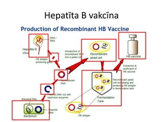 Hepatīta B vakcīna
 