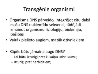 Transgēnie organismi
• Organisma DNS pārveido, integrējot citu dabā
esošu DNS nukleotīdu sekvenci, tādējādi
izmainot organismu fizioloģiju, bioķīmiju,
īpašības
• Vairāk pielieto augiem, mazāk dzīvniekiem
• Kāpēc būtu jāmaina augu DNS?
– Lai būtu izturīgi pret kukaiņu uzbrukumu;
– Izturīgi pret herbicītiem;
 