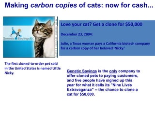 Love your cat? Get a clone for $50,000
December 23, 2004:
Julie, a Texas woman pays a California biotech company
for a carbon copy of her beloved 'Nicky.'
The first cloned-to-order pet sold
in the United States is named Little
Nicky. Genetic Savings is the only company to
offer cloned pets to paying customers,
and five people have signed up this
year for what it calls its "Nine Lives
Extravaganza" -- the chance to clone a
cat for $50,000.
Making carbon copies of cats: now for cash...
 