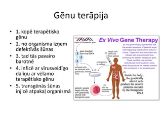 Gēnu terāpija
• 1. kopē terapētisko
gēnu
• 2. no organisma izņem
defektīvās šūnas
• 3. tad tās pavairo
barotnē
• 4. inficē ar vīrusveidīgo
daļiņu ar vēlamo
terapētisko gēnu
• 5. transgēnās šūnas
injicē atpakaļ organismā
 