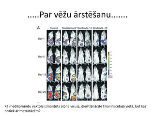 .....Par vēžu ārstēšanu.......
Kā medikamentu vektors izmantots alpha vīruss, diemžēl ārstē tikai injicētajā vietā, bet kas
notiek ar metastāzēm?
 