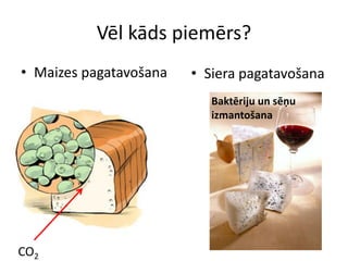 Vēl kāds piemērs?
• Maizes pagatavošana • Siera pagatavošana
CO2
Baktēriju un sēņu
izmantošana
 