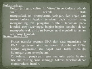 Kultur jaringan
     Kultur jaringan/Kultur In Vitro/Tissue Culture adalah
     suatu                    teknik                  untuk
     mengisolasi, sel, protoplasma, jaringan, dan organ dan
     menumbuhkan bagian tersebut pada nutrisi yang
     mengandung zat pengatur tumbuh tanaman pada
     kondisi aseptik,sehingga bagian-bagian tersebut dapat
     memperbanyak diri dan beregenerasi menjadi tanaman
     sempurna kembali.
Rekombinasi DNA
     Proses transfer segmen DNA dari satu organisme ke
     DNA organisme lain dinamakan rekombinasi DNA.
     Kedua organisme itu dapat saja tidak memiliki
     hubungan atau kekerabatan.
     Contohnya, penyisipan gen manusia pada bakteri
     Bacillus thuringiensis sehingga bakteri tersebut dapat
     memproduksi insulin.
 