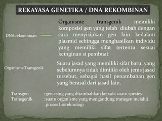 REKAYASA GENETIKA / DNA REKOMBINAN
                          Organisme       transgenik    memiliki
                          komposisi gen yang telah diubah dengan
DNA rekombinan            cara menyisipkan gen lain kedalam
                          plasmid sehingga menghasilkan individu
                          yang memiliki sifat tertentu sesuai
                          keinginan si pembuat
                         Suatu jasad yang memiliki sifat baru, yang
Organisme Transgenik
                         sebelumnya tidak dimiliki oleh jenis jasad
                         tersebut, sebagai hasil penambahan gen
                         yang berasal dari jasad lain.
   Transgen        : gen asing yang ditambahkan kepada suatu spesies
   Transgenik      : suatu organisme yang mengandung transgen melalui
                     proses bioteknologi
 