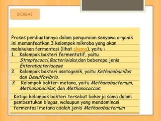 BIOGAS




Proses pembuatannya dalam penguraian senyawa organik
ini memanfaatkan 3 kelompok mikroba yang akan
melakukan fermentasi (lihat skema), yaitu :
1. Kelompok bakteri fermentatif, yaitu
    Streptococci,Bacterioides,dan beberapa jenis
   Enterobacteriaceae
2. Kelompok bakteri asetogenik, yaitu Kethanobacillus
   dan Desulfovibrio.
3. Kelompok bakteri metana, yaitu Methanobacterium,
   Methanobacillus, dan Methanococcus.
Ketiga kelompok bakteri tersebut bekerja sama dalam
pembentukan biogas, walaupun yang mendominasi
fermentasi metana adalah jenis Methanobacterium
 