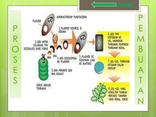 HOME

           P
P          E
R          M
O          B
S          U
E          A
S          T
           A
           N
 