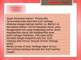 HOME
   PEMURNIAN
    TEMBAGA



Sejak ditemukan bakteri Thiobacillus
ferooxidans maka ekstraksi bijih tembaga
dilakukan dengan bantuan bakteri ini. Bakteri ini
merupakan bakteri litotrof (pemakan batu), yaitu
menggunakan batu yang mengandung sulfur untuk
mendapatkan energi dan menghasilkan asam
sulfat sebagai limbahnya. Jika asam sulfat
bereaksi dengan komponen batu lain, bijih
tembaga akan tercuci menjadi larutan tembaga
sulfat .
Melalui proses di atas, tembaga dapat tercuci
dari bijihnya meskipun berasal dari bijih kualitas
rendah.
 