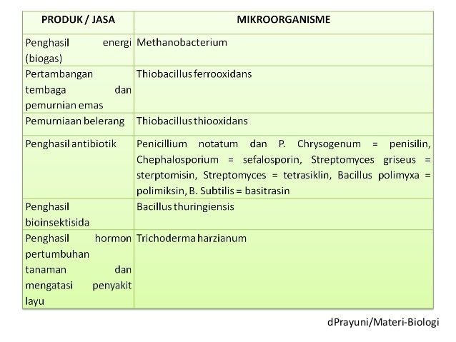 Bioteknologi