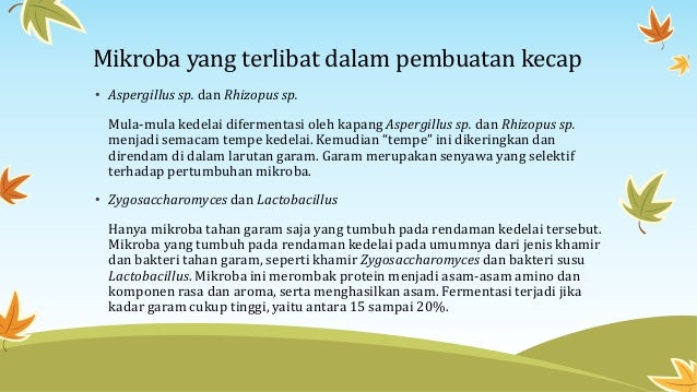Bioteknologi Konvesional Cara Pengolahan Kecap